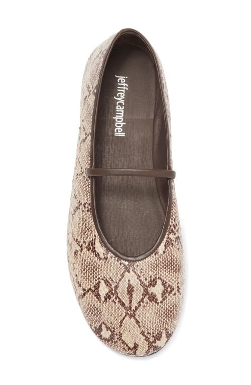 Shop Jeffrey Campbell Dancerina Mary Jane Ballet Flat In Beige/brown Snake Print