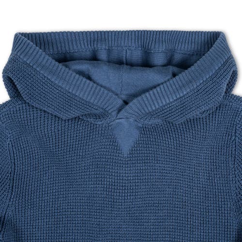 Shop Hope & Henry Baby Boys' Organic Kanga Sweater Hoodie, Infant In Dark Blue Waffle With Tipping