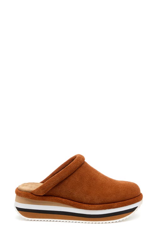 Kelsi Dagger Brooklyn Harvey Clog In Caramel