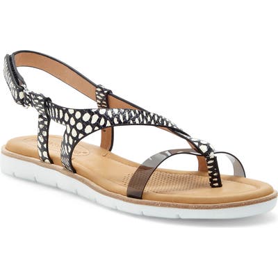 Cc Corso Como Blessia Sandal, Black