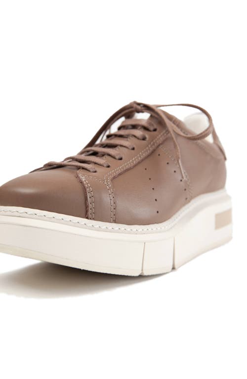 Shop Paloma Barceló Paloma Barcelo Agen Sneaker In Dark Beige/taupe