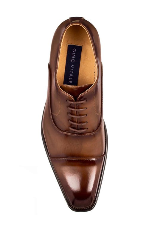 Gino Vitale Cap Toe Oxford In Dark Brown
