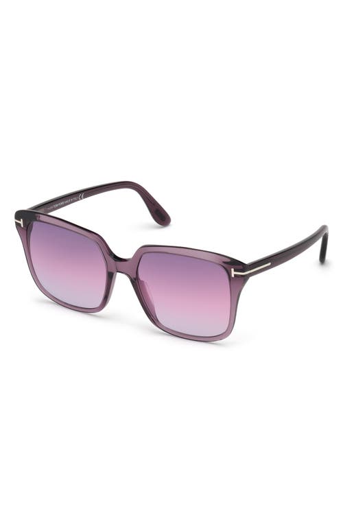 Shop Tom Ford 56mm Gradient Square Sunglasses In Shiny Violet/gradient Violet