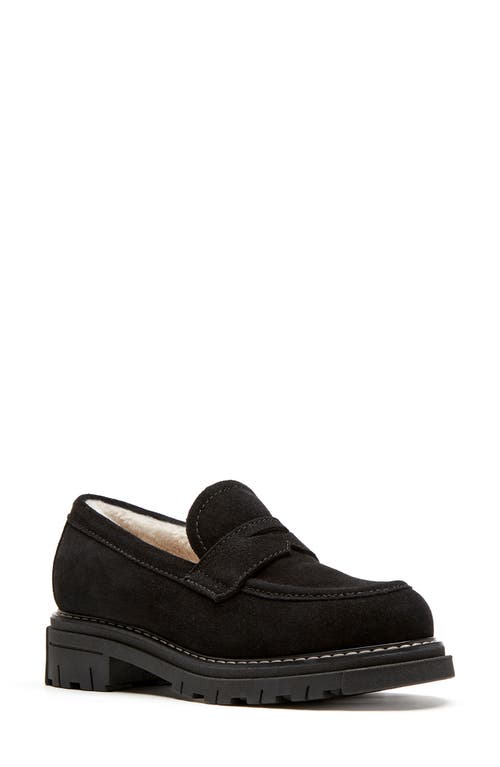 La Canadienne Devin Waterproof Penny Loafer in Black Suede 