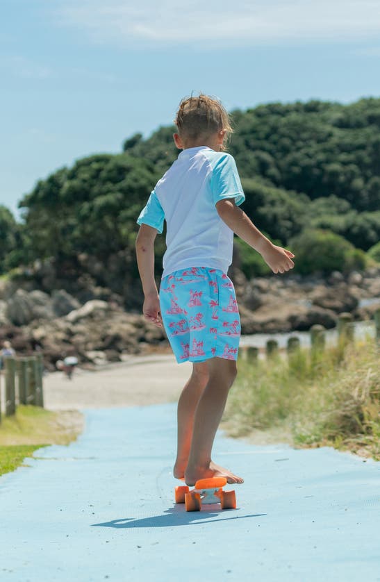 Shop Snapper Rock Kids' Lighthouse Island Swim Trunks In Blue