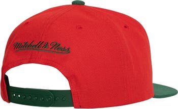 New Jersey Devils Team 2 Tone 2.0 Red/Green Snapback - Mitchell