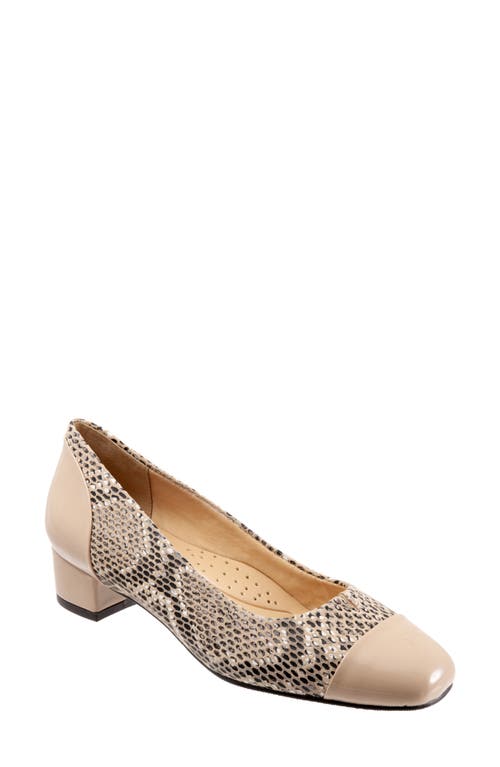 Trotters Daisy Pump Cream Snake at Nordstrom,