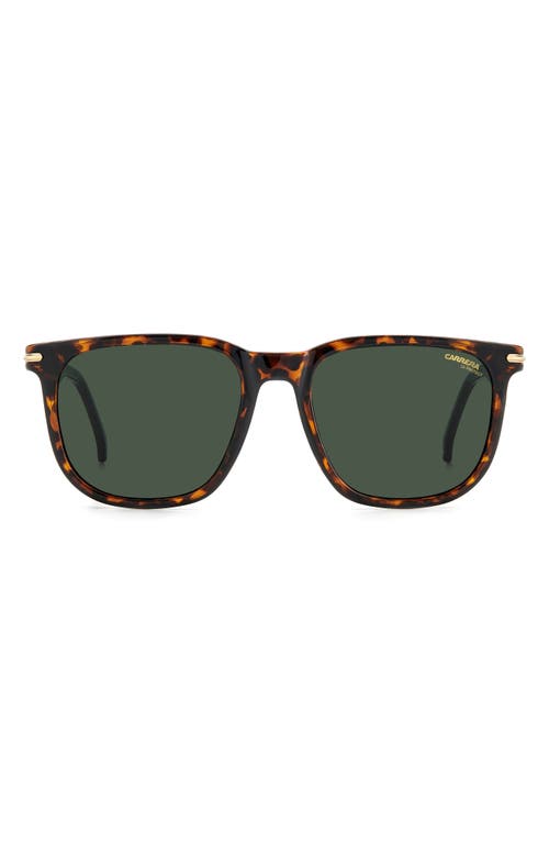 Carrera Eyewear 54mm Rectangular Sunglasses in Havana/Green