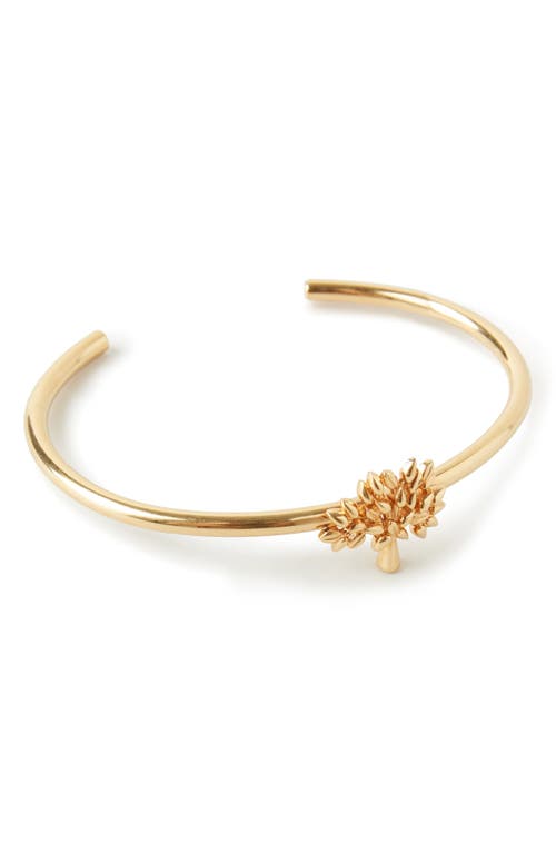 Mulberry Tree Bangle Gold at Nordstrom,