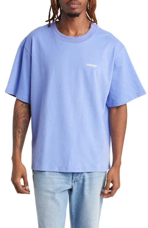 Classic Solid T-Shirt in Sky Blue