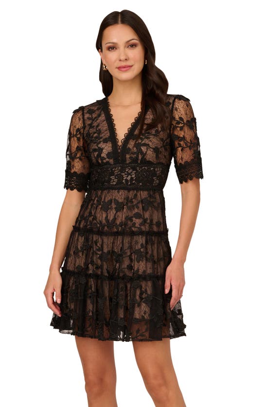 Shop Adrianna Papell Embroidered Lace Minidress In Black