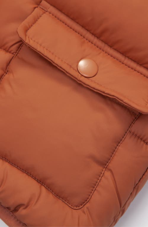 Rokka&rolla Baby Fleece Lined Bear Puffer Jacket In Orange