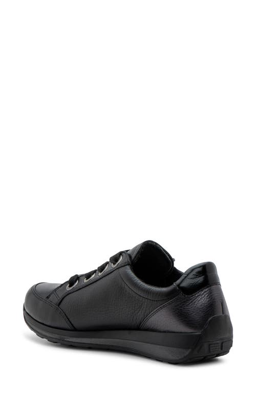 Shop Ara Ollie Sneaker In Black/anthracite