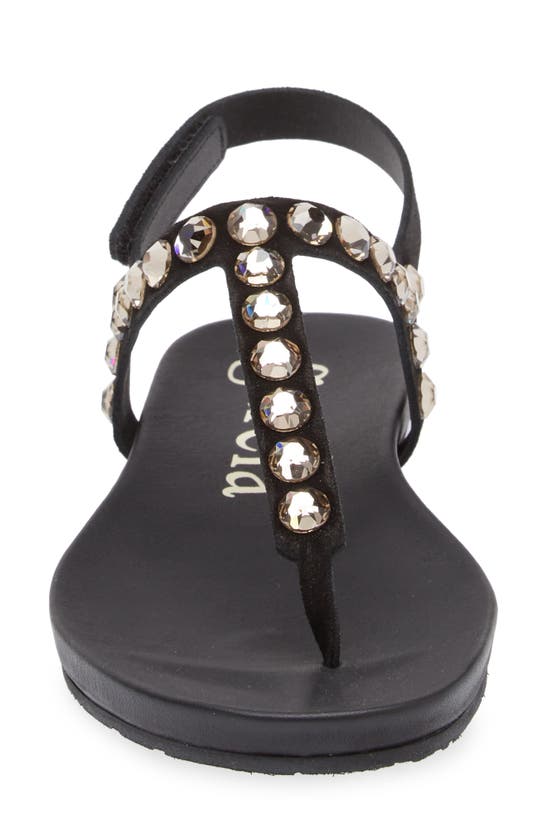 Pedro Garcia Judith Crystal Stud Sandal In Black Castoro