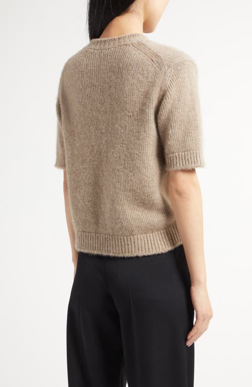 Shop The Row Hibiscus Short Sleeve Cashmere Knit Top In Ancient Sand