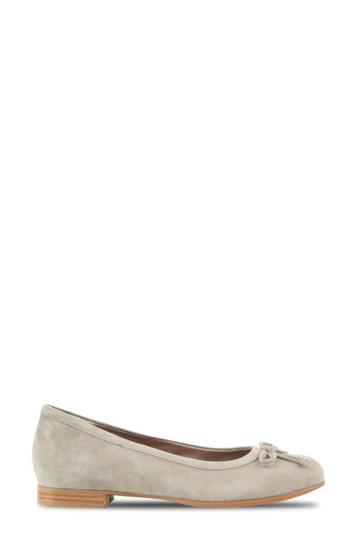 Munro Joslynn Ballet Flat In Deep Taupe Suede