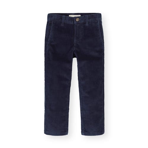 Hope & Henry Baby Boys' Organic Corduroy Pant, Infant In Navy