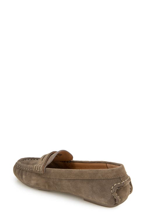 Gentle Souls By Kenneth Cole Madison Loafer In Shitake Suede