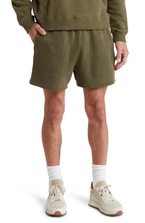 Core Organic Cotton Brushed Terry Sweat Shorts in Vintage Pine