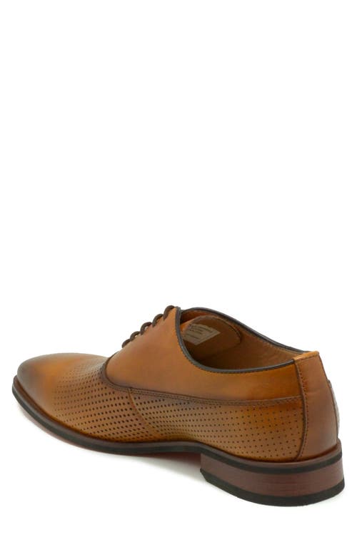 La Milano Chesterfield Oxford In Cognac