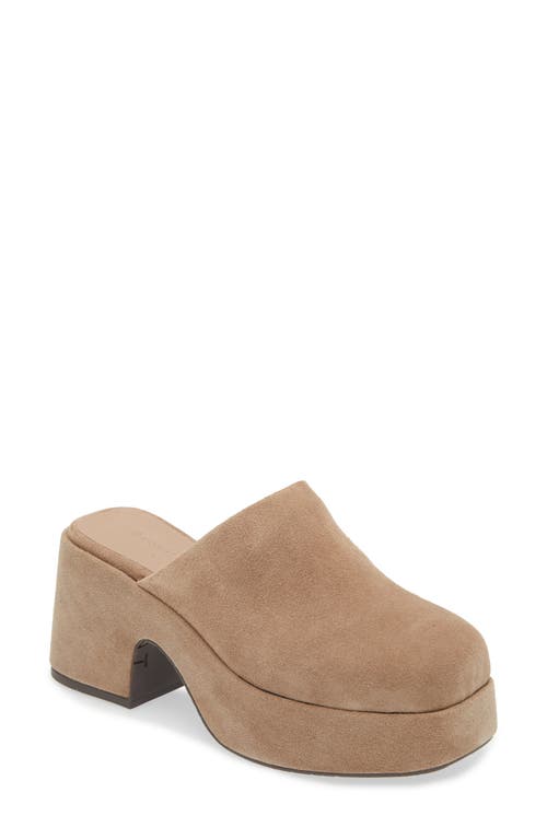 CHOCOLAT BLU CHOCOLAT BLU HEDIA PLATFORM MULE