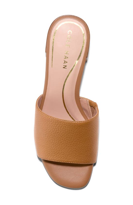 Shop Cole Haan Calli Single Band Block Heel Slide Sandal In Pecan Ltr