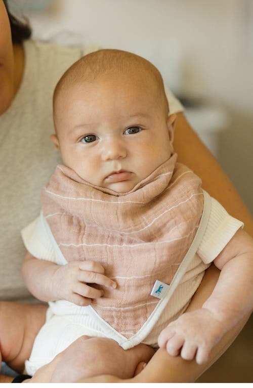 Little Unicorn 4-pack Fleece & Cotton Muslin Bandana Bib In Mauve Stripe