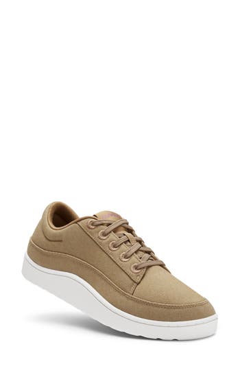 Allbirds Pacer Sneaker In Hazy Beige/blizzard