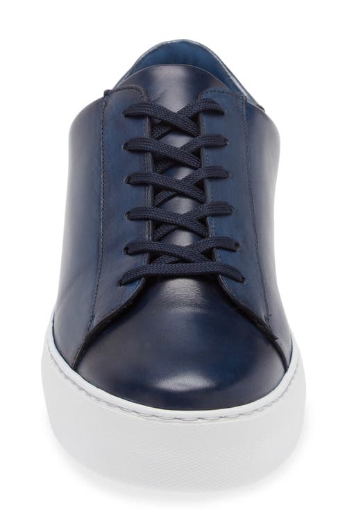 G Brown Ace Low Top Leather Sneaker In Blue
