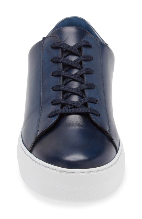 Shop G Brown Ace Low Top Leather Sneaker In Blue