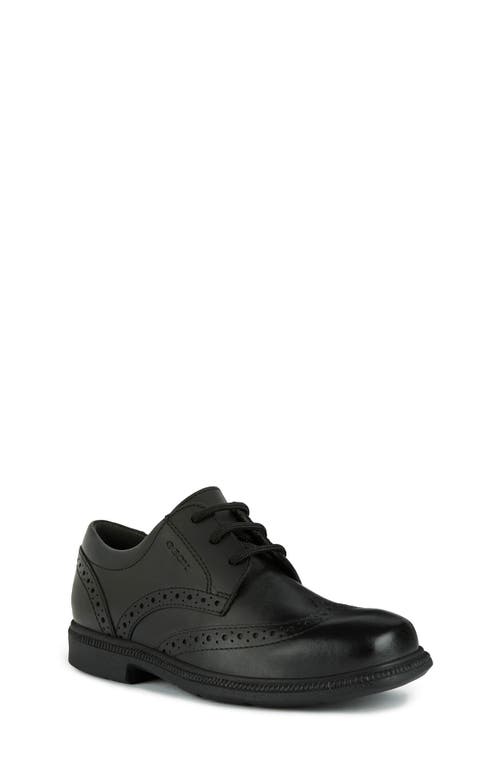 Geox Kids' Federico Water Resistant Wingtip Derby Black at Nordstrom,