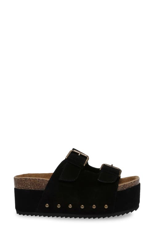 Shop Steve Madden Kali Platform Sandal In Black Suede