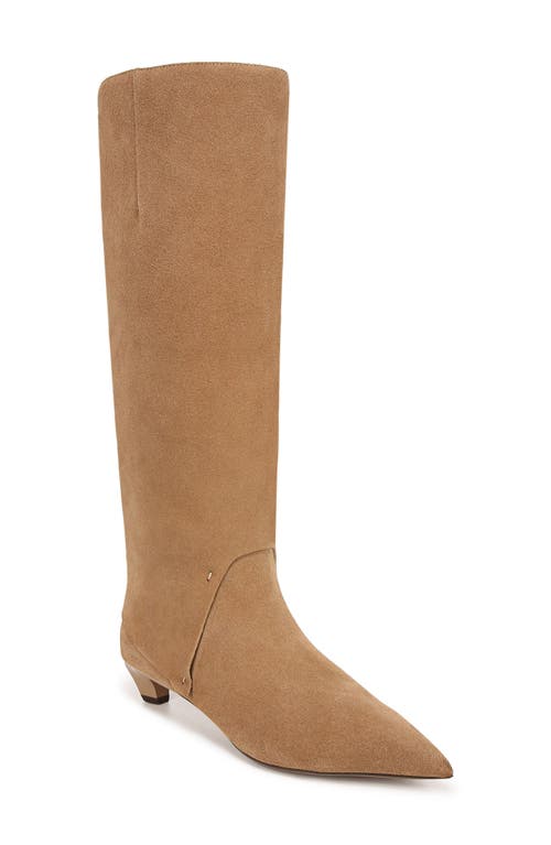 Shop Franco Sarto Martin Pointed Toe Knee High Boot In Taupe