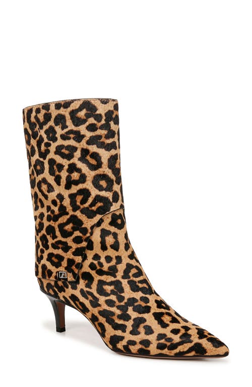 Franco Sarto Alberta Bootie Brown Leopard at Nordstrom,