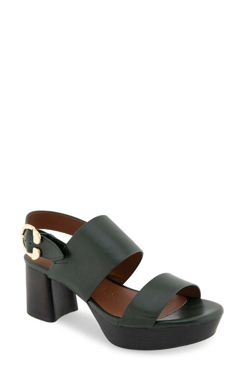 Shop Aerosoles Camera Platform Sandal In Fir Green Leather