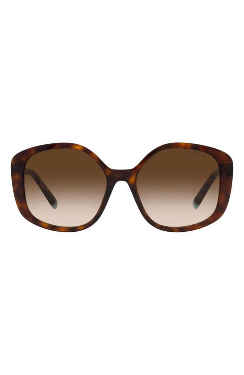 Tiffany & Co. 54mm Gradient Irregular Sunglasses in Havana/Brown Gradient