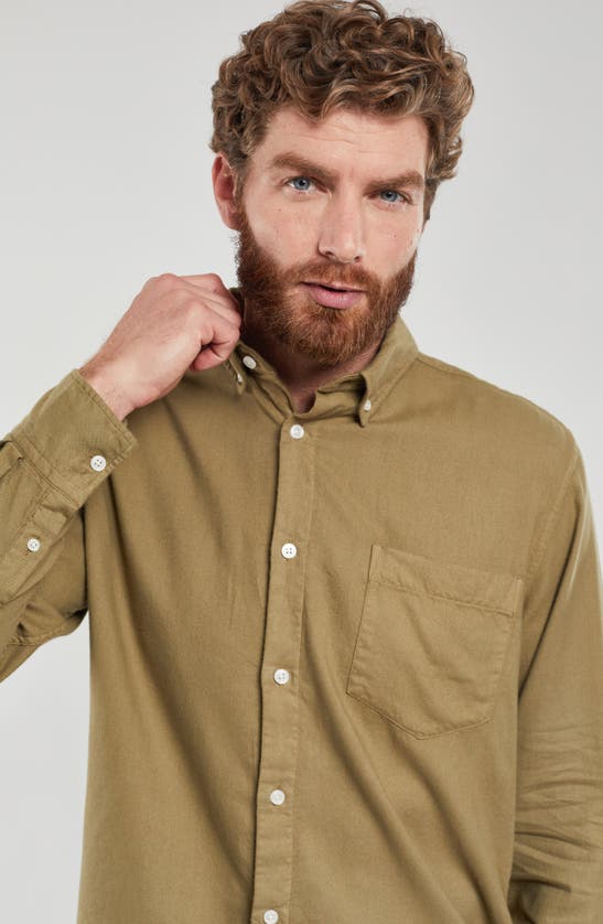 Shop Armor-lux Cotton Button Down Shirt In Oliva