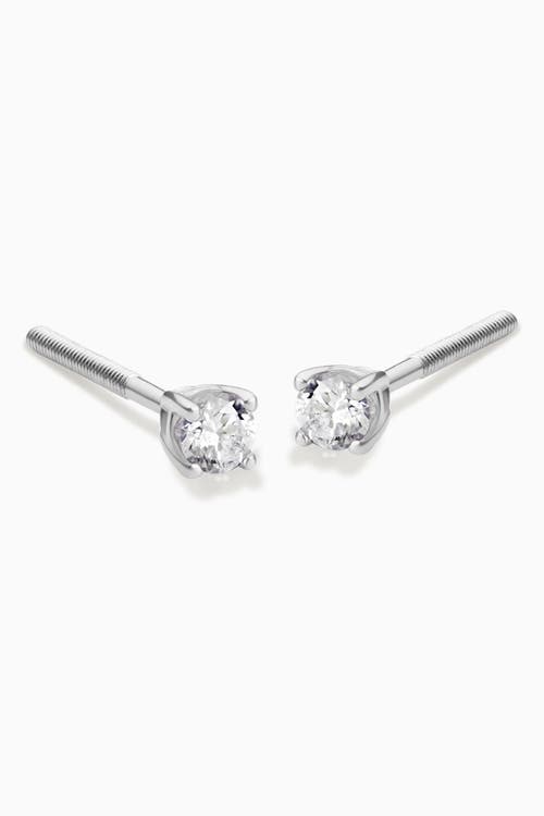 Shop Oradina 14k White Gold Shine Bright Diamond Studs