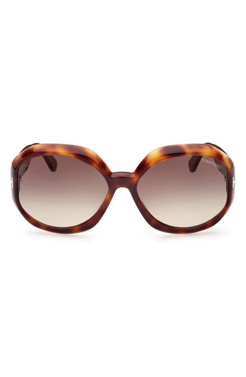 TOM FORD 62mm Gradient Oversize Round Sunglasses in Dark Havana /Gradient Smoke