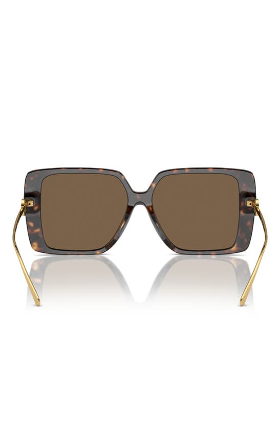 Shop Tory Burch 56mm Square Sunglasses In Tortoise