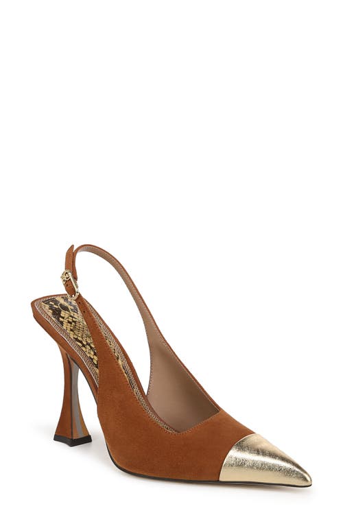 Shop Sam Edelman Odette Slingback Pointed Cap Toe Pump In Frontier Brown/amber Gold