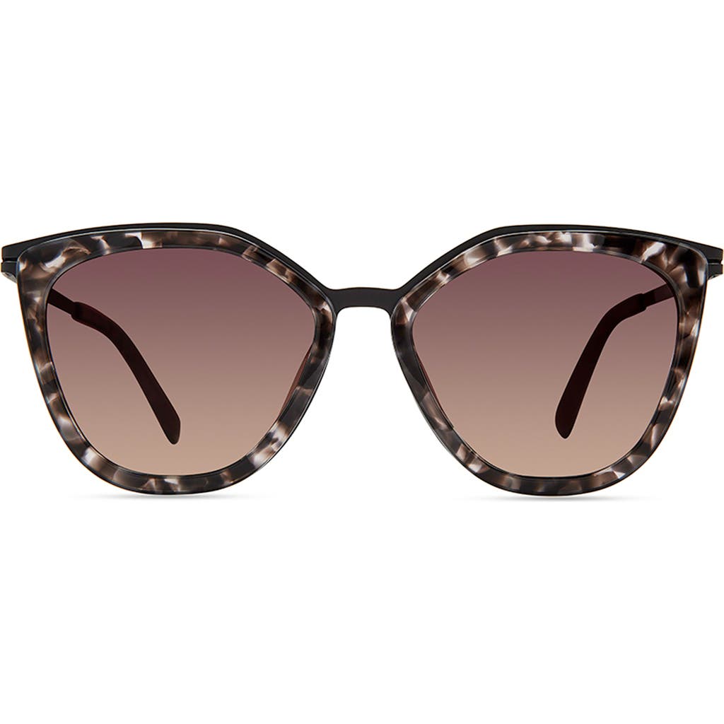 Modo 463 Sunglasses In Grey Tortoise