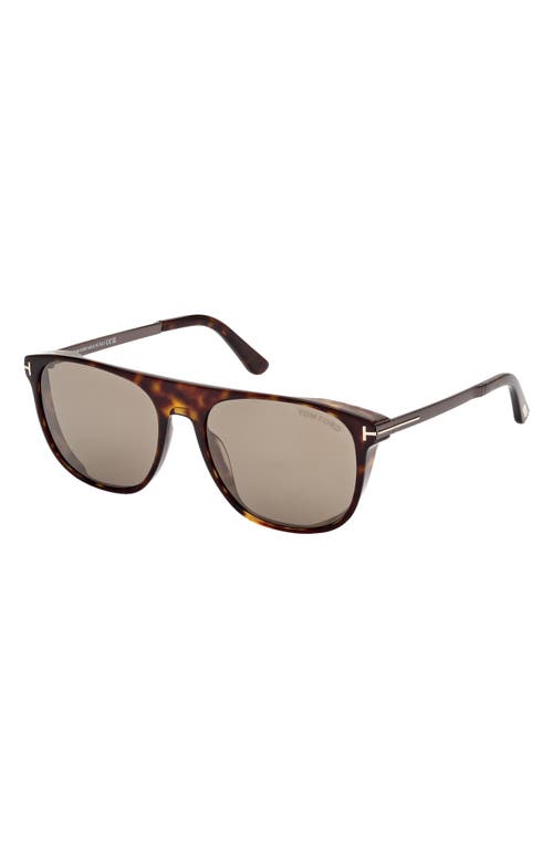 Shop Tom Ford Lionel 55mm Square Sunglasses In Dark Havana/roviex Gunmental