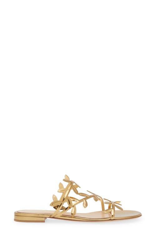 Shop Gianvito Rossi Leaf Slide Sandal In Metal Mekong