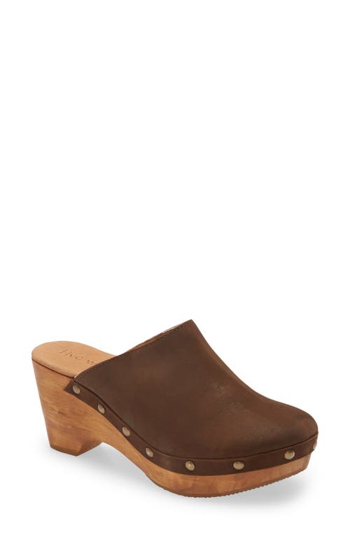 Cordani Zorba Clog in Brown Nubuck