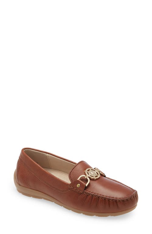 Athens Loafer in Cognac Gaucho Soft