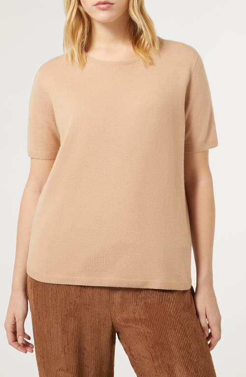 Shop Marina Rinaldi Whist Short Sleeve Cashmere Sweater In Camel