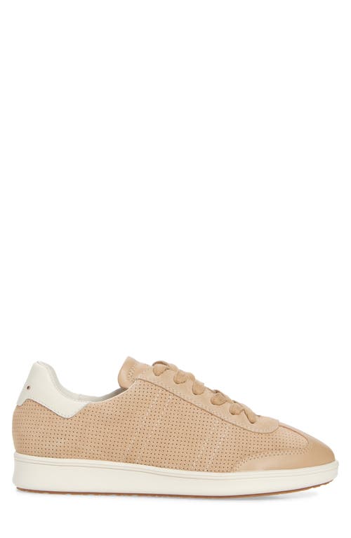 Frankie4 Billie Zip Sneaker In Ecru