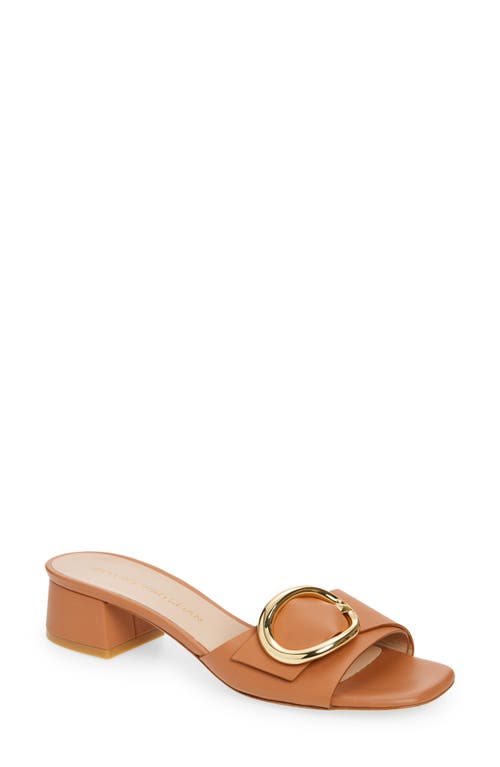 Shop Stuart Weitzman Benni 35 Slide Sandal In Tan