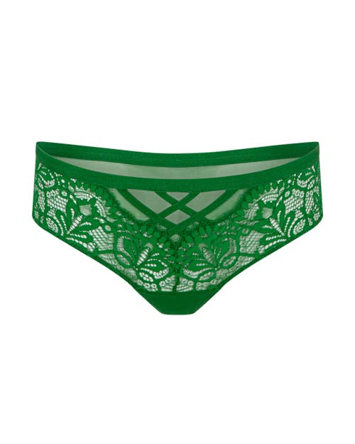 Shop Adore Me Diara Hipster Panties In Dark Green